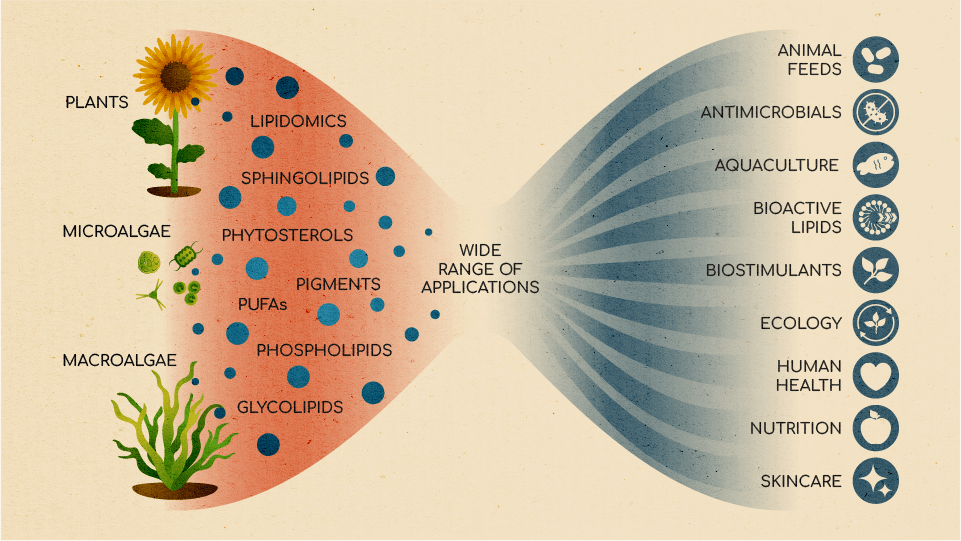 Epilipid_04-04-2025-07